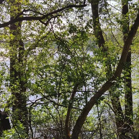 Modernes Wohnen Am Appartamento *